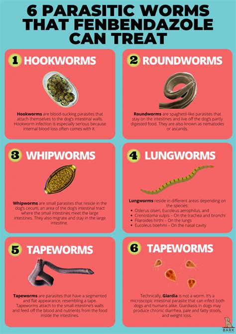 , drugs that kill parasitic worms). . Flubendazole vs fenbendazole